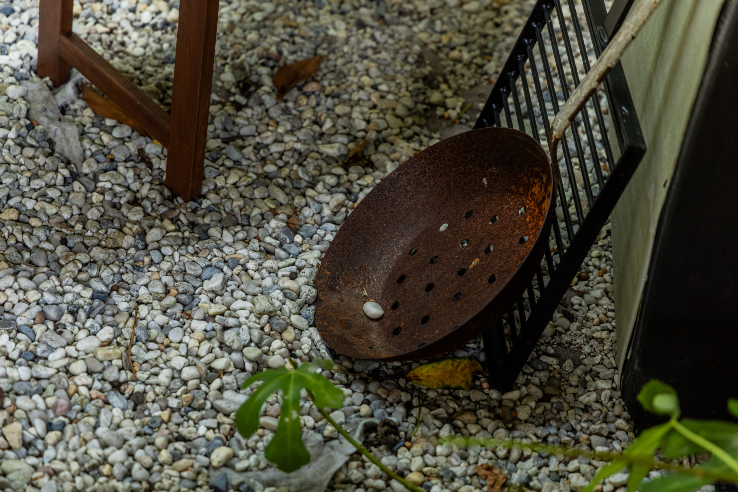 111A0263